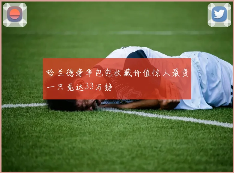 哈兰德奢华包包收藏价值惊人最贵一只竟达33万镑